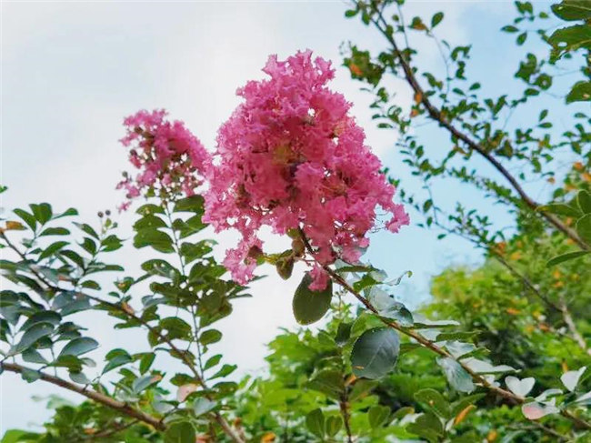 呼吸鮮氧，踐行公益&mdash;&mdash;廣東博皓公益活動：星溪線公益環?；顒?  -5