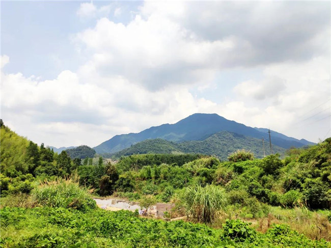 呼吸鮮氧，踐行公益&mdash;&mdash;廣東博皓公益活動：星溪線公益環?；顒?  -6