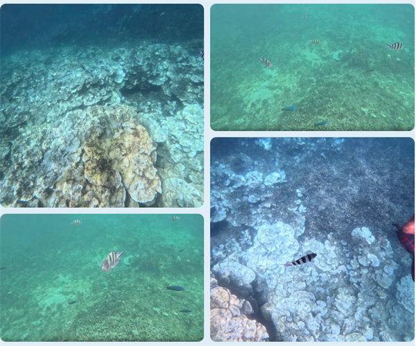 風雨兼程二十載，馬來之旅續新篇&mdash;&mdash;2024年博皓沙巴風情之旅     -6