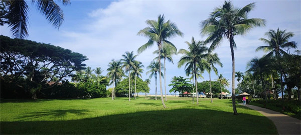 廿載風云一路行，馬來風情共見證&mdash;&mdash;2024廣東博皓馬來西亞之旅   -25