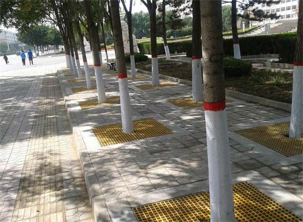 玻璃鋼格柵在城市綠化建設中異彩紛呈